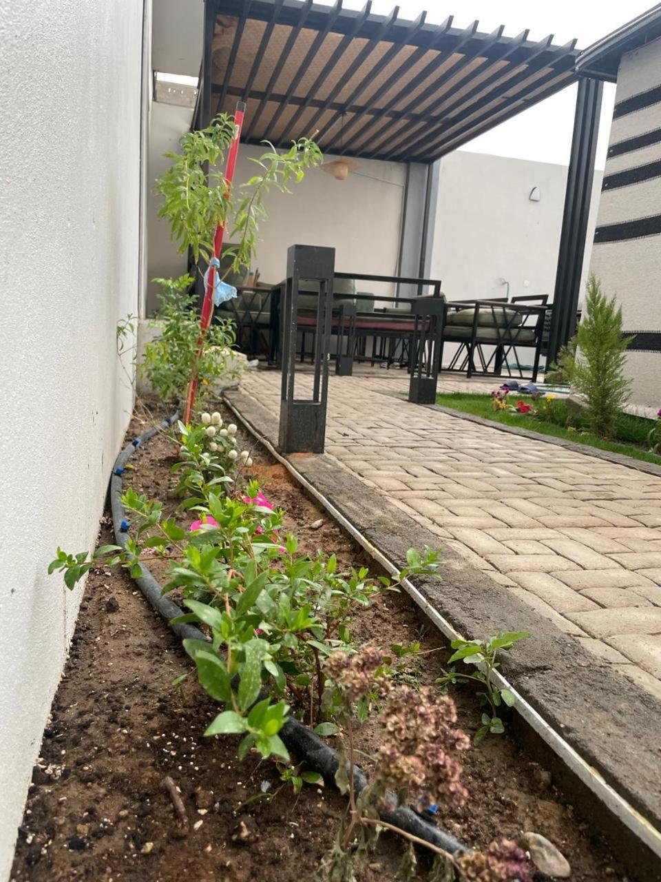Garden Land Aparthotel Hamisz-Musait Kültér fotó